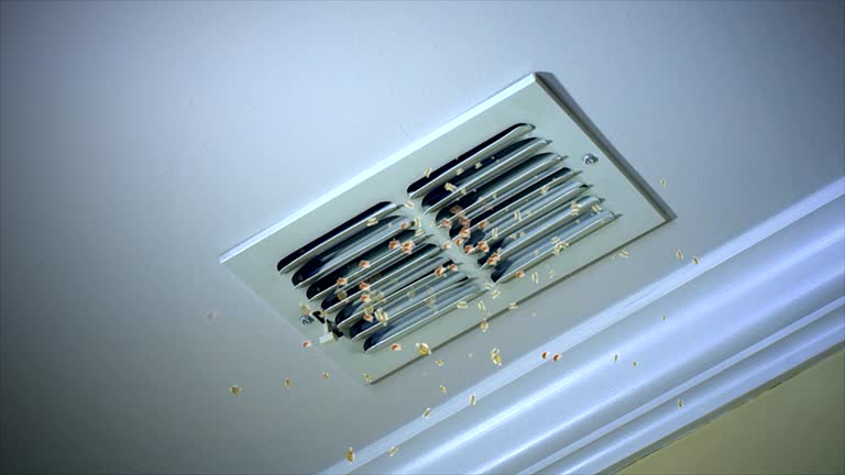 Best Affordable Duct Cleaning Services  in Willard, MO