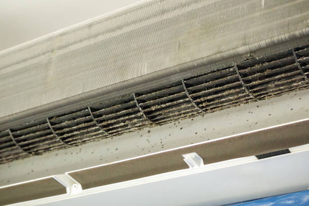 Best Air Duct Cleaning Near Me  in Willard, MO